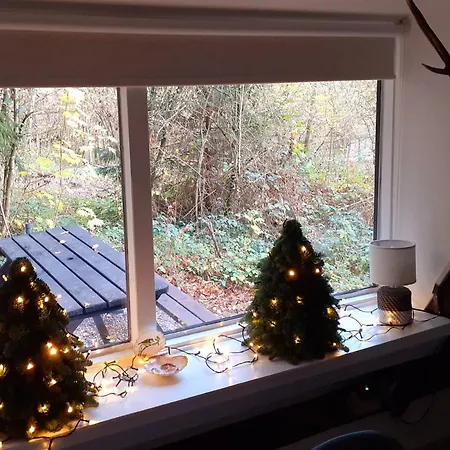 Boshuis Nos Bohio Vakantiehuis *