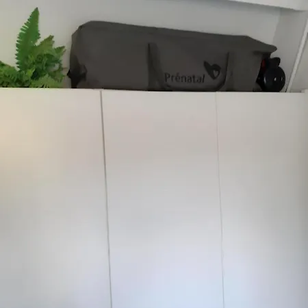 Boshuis Nos Bohio 度假居 *