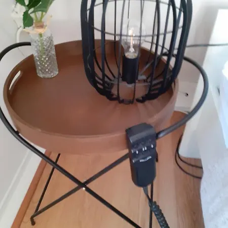 Boshuis Nos Bohio 더뷔